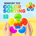Color sorting Sensory Toy - Image 2