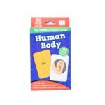 Flash Cards - Human Body - Image 6